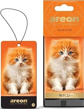 AREON - WILD BLUE EYES